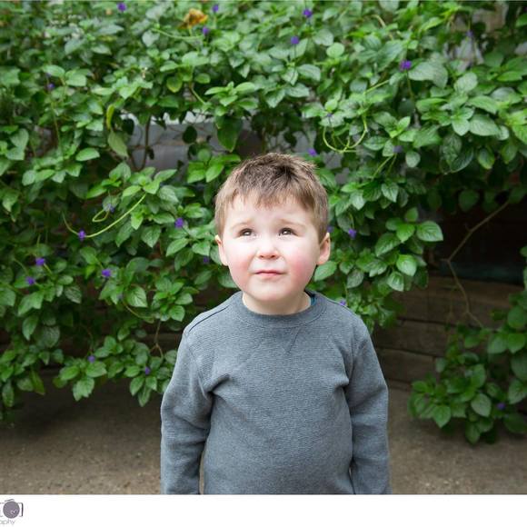 Meet your Posher, Rachel - Picture 1 of 1